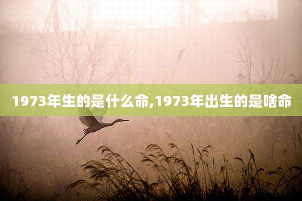 1973年生的是什么命,1973年出生的是啥命