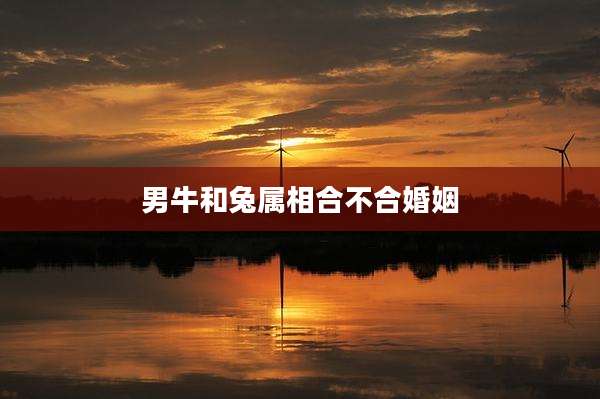 男牛和兔属相合不合婚姻