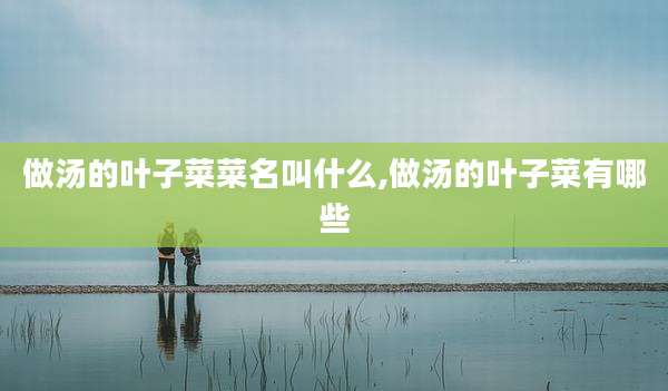 做汤的叶子菜菜名叫什么,做汤的叶子菜有哪些