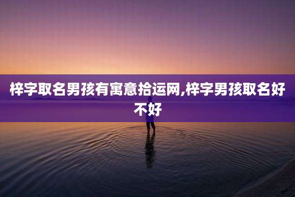 梓字取名男孩有寓意拾运网,梓字男孩取名好不好