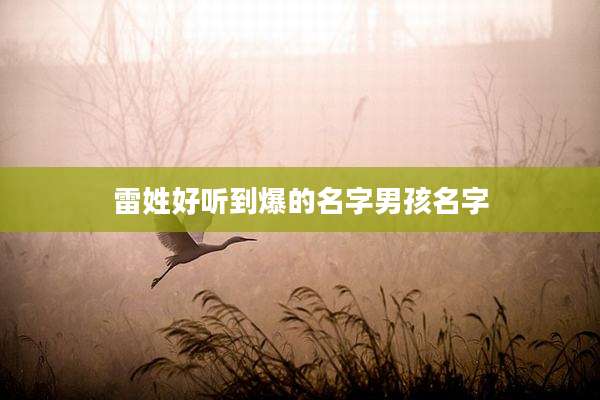 雷姓好听到爆的名字男孩名字