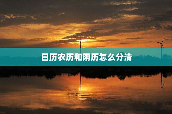 日历农历和阴历怎么分清