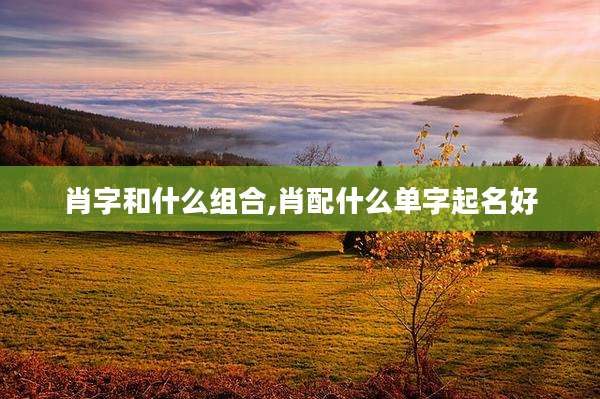 肖字和什么组合,肖配什么单字起名好