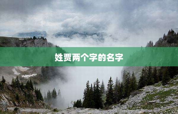 姓贾两个字的名字