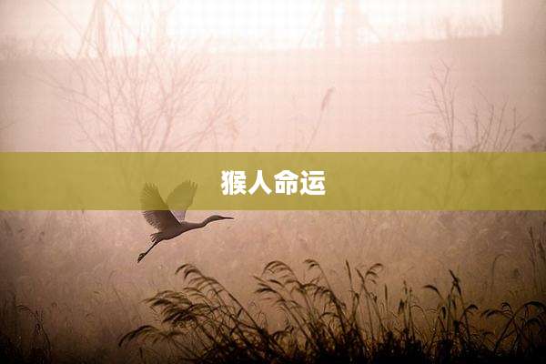 猴人命运