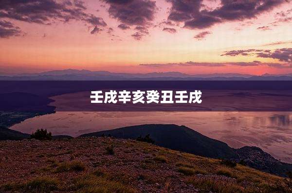 壬戌辛亥癸丑壬戌