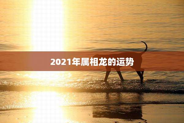 2021年属相龙的运势