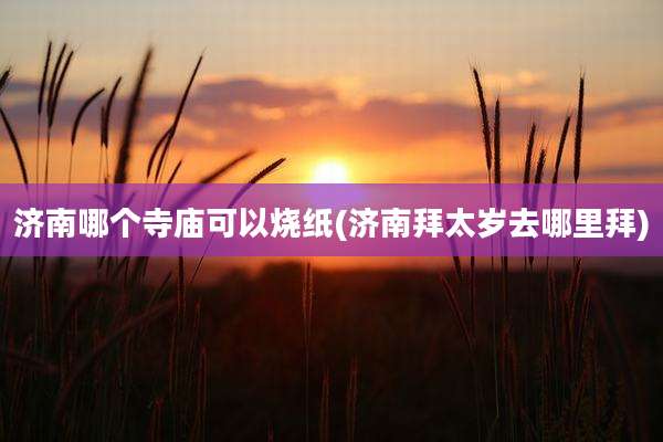 济南哪个寺庙可以烧纸(济南拜太岁去哪里拜)