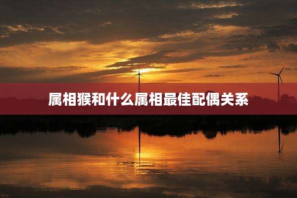 属相猴和什么属相最佳配偶关系