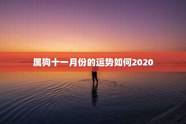 属狗十一月份的运势如何2020