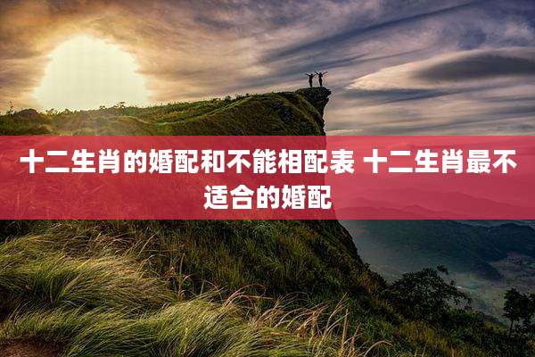 十二生肖的婚配和不能相配表 十二生肖最不适合的婚配