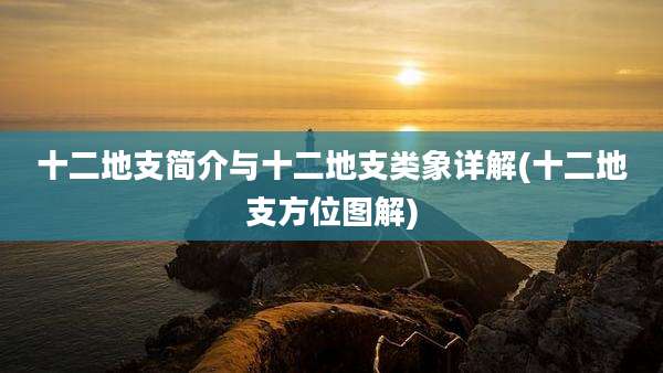 十二地支简介与十二地支类象详解(十二地支方位图解)