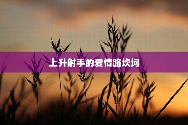 上升射手的爱情路坎坷
