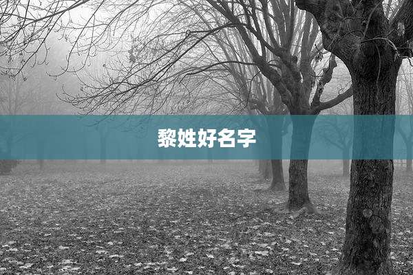 黎姓好名字