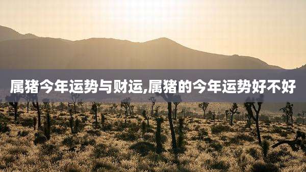 属猪今年运势与财运,属猪的今年运势好不好