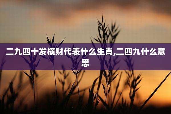 二九四十发横财代表什么生肖,二四九什么意思