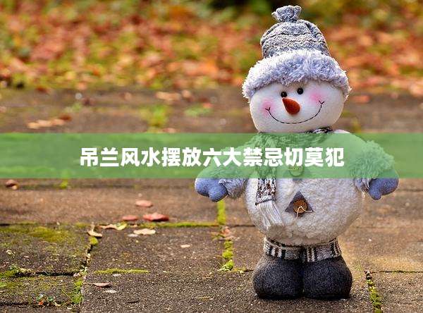 吊兰风水摆放六大禁忌切莫犯