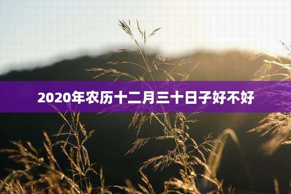 2020年农历十二月三十日子好不好