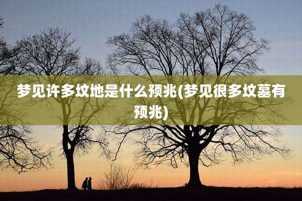 梦见许多坟地是什么预兆(梦见很多坟墓有预兆)