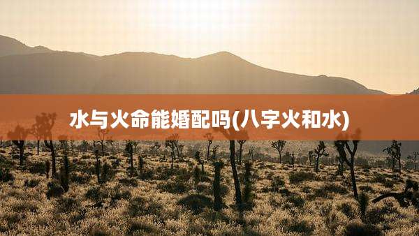 水与火命能婚配吗(八字火和水)