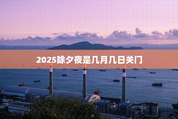 2025除夕夜是几月几日关门