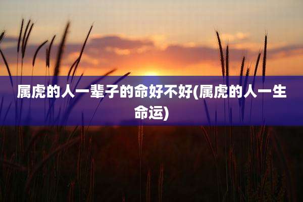 属虎的人一辈子的命好不好(属虎的人一生命运)