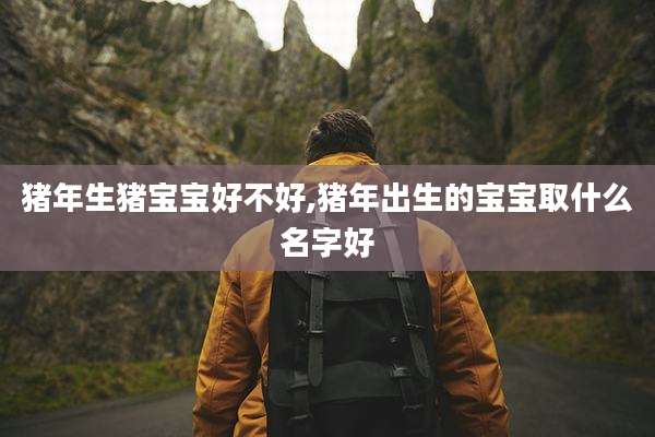 猪年生猪宝宝好不好,猪年出生的宝宝取什么名字好