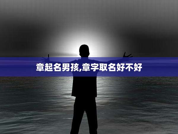 章起名男孩,章字取名好不好