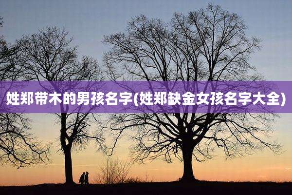 姓郑带木的男孩名字(姓郑缺金女孩名字大全)