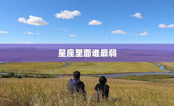 星座里面谁最弱
