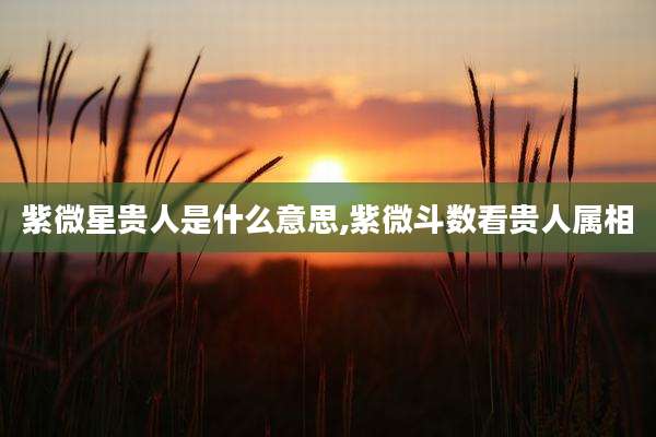 紫微星贵人是什么意思,紫微斗数看贵人属相