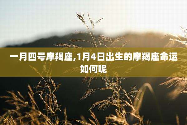 一月四号摩羯座,1月4日出生的摩羯座命运如何呢