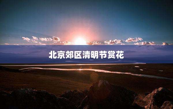 北京郊区清明节赏花