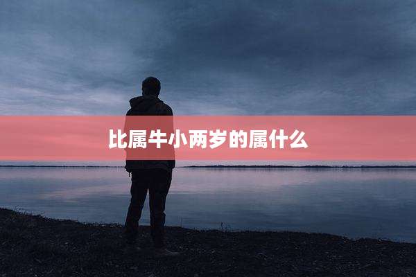 比属牛小两岁的属什么