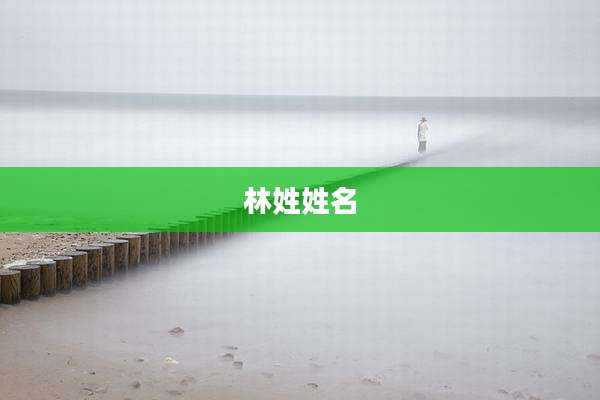 林姓姓名