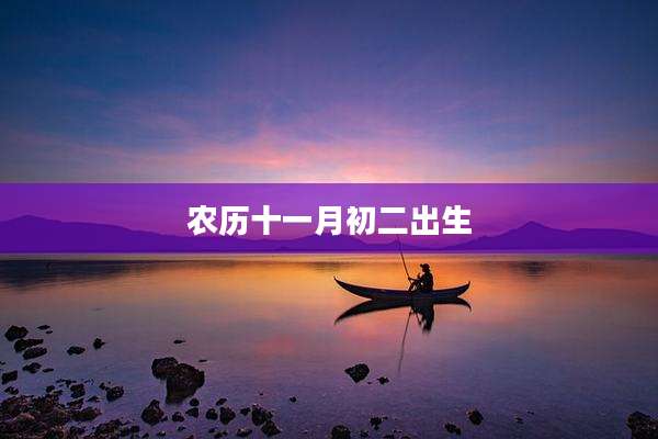 农历十一月初二出生