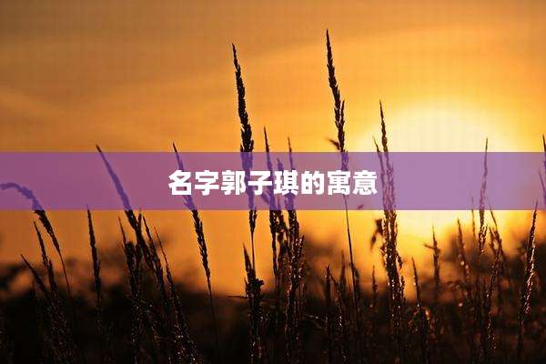 名字郭子琪的寓意