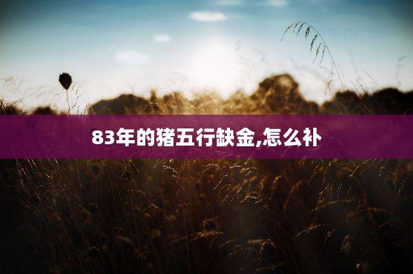 83年的猪五行缺金,怎么补