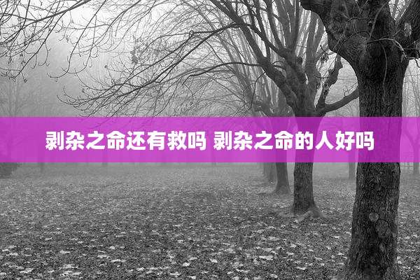 剥杂之命还有救吗 剥杂之命的人好吗
