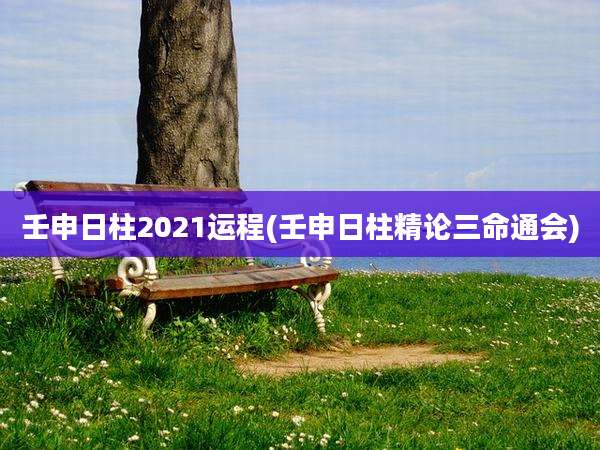 壬申日柱2021运程(壬申日柱精论三命通会)