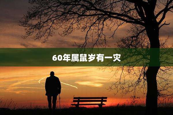 60年属鼠岁有一灾