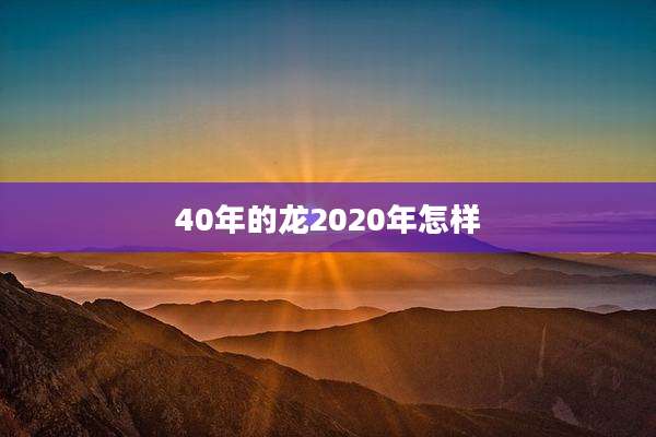 40年的龙2020年怎样