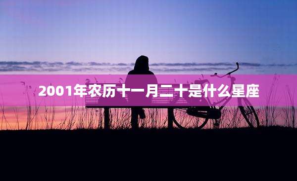 2001年农历十一月二十是什么星座