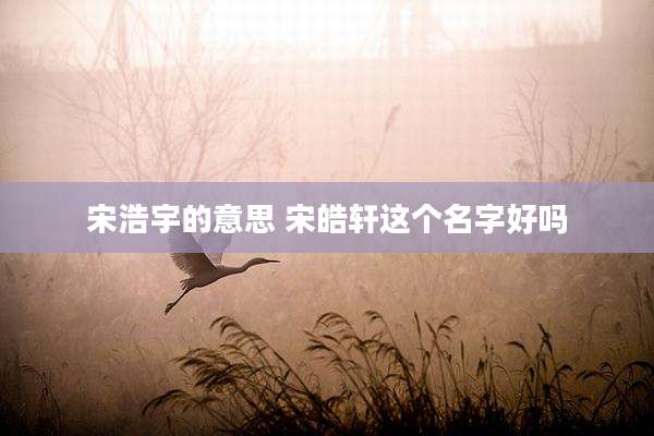 宋浩宇的意思 宋皓轩这个名字好吗