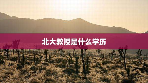 北大教授是什么学历