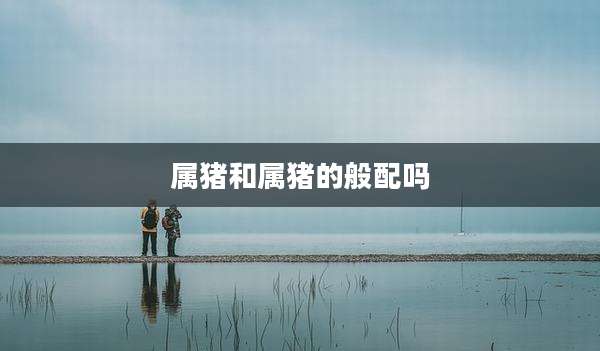 属猪和属猪的般配吗