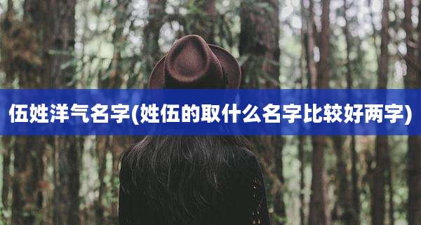 伍姓洋气名字(姓伍的取什么名字比较好两字)