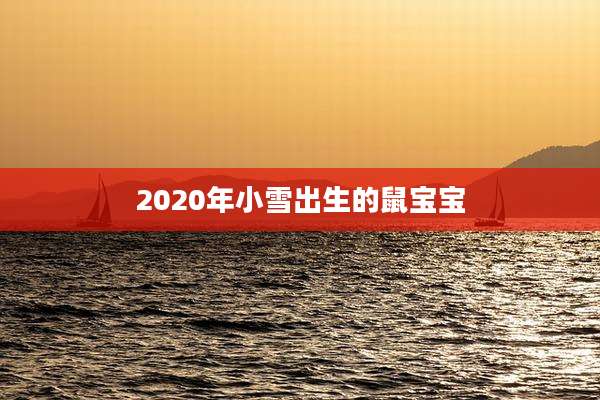 2020年小雪出生的鼠宝宝