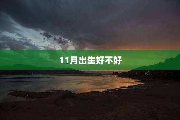 11月出生好不好