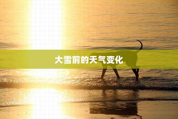 大雪前的天气变化